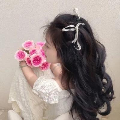 枪与玫瑰：少帅的逃爱游戏